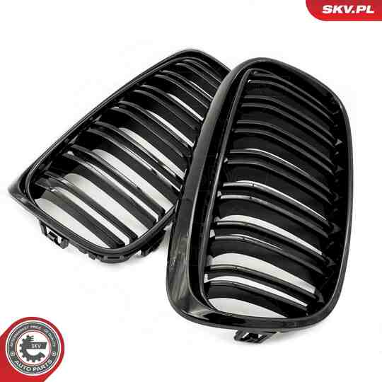 66SKV040 - Radiator Grille 