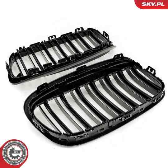 66SKV040 - Radiator Grille 