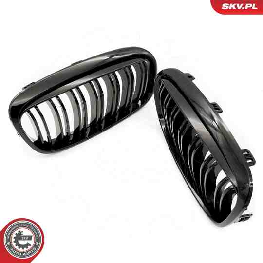 66SKV040 - Radiator Grille 