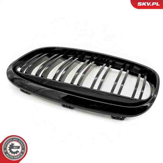 66SKV040 - Radiator Grille 