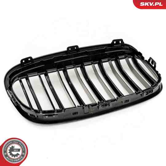 66SKV040 - Radiator Grille 