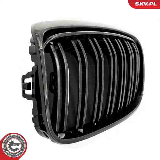 66SKV040 - Radiator Grille 