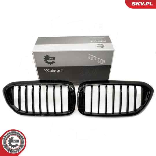 66SKV198 - Radiator Grille 