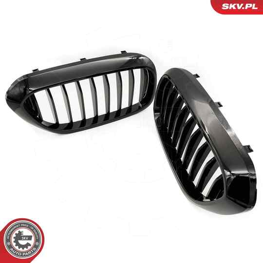 66SKV198 - Radiator Grille 