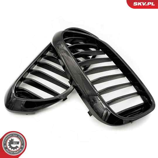 66SKV198 - Radiator Grille 