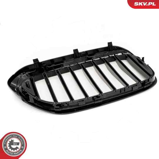 66SKV198 - Radiator Grille 