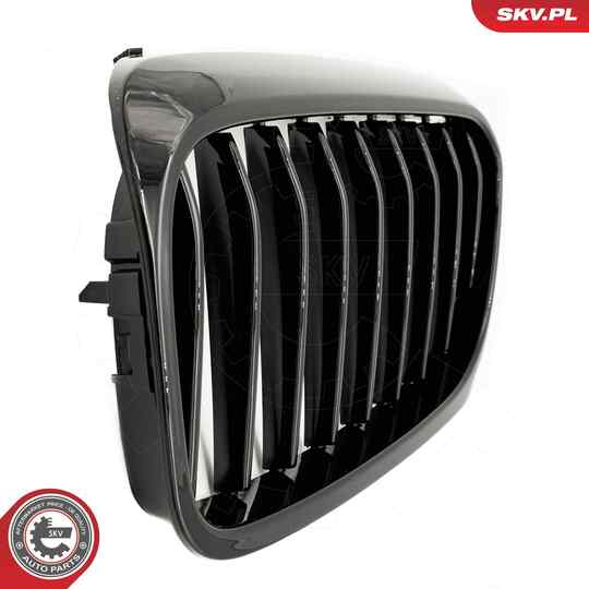 66SKV198 - Radiator Grille 