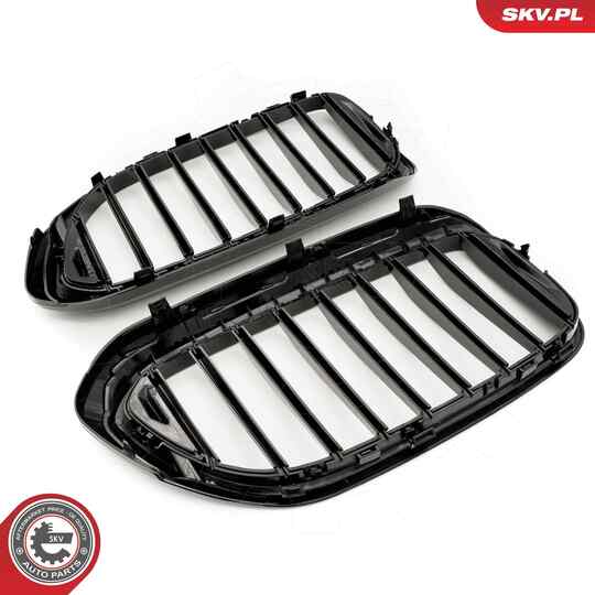 66SKV198 - Radiator Grille 