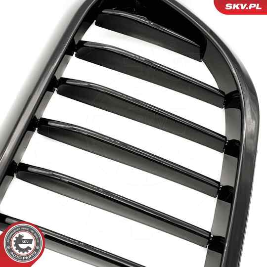 66SKV198 - Radiator Grille 