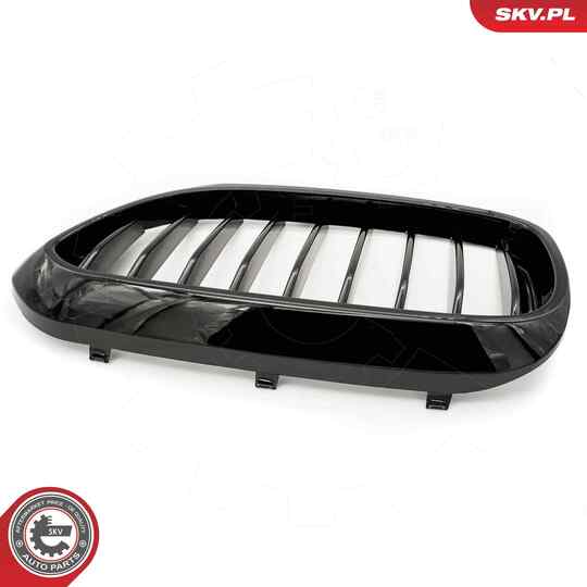 66SKV198 - Radiator Grille 