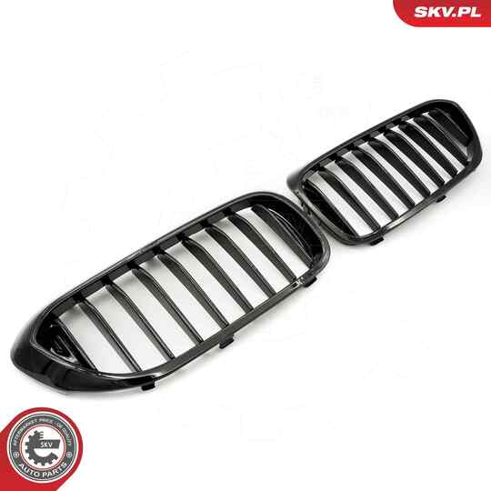 66SKV198 - Radiator Grille 