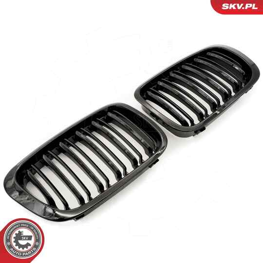 66SKV066 - Radiator Grille 