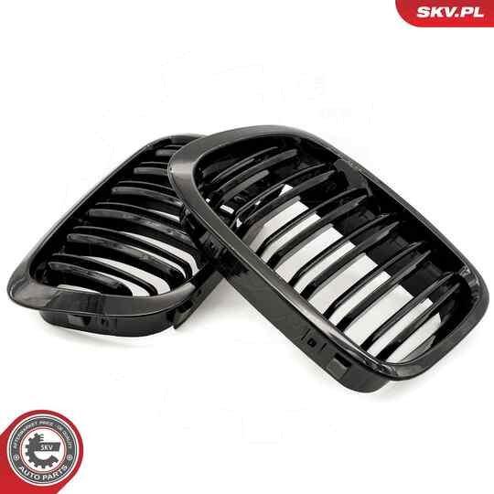 66SKV066 - Radiator Grille 