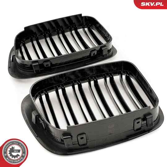 66SKV066 - Radiator Grille 