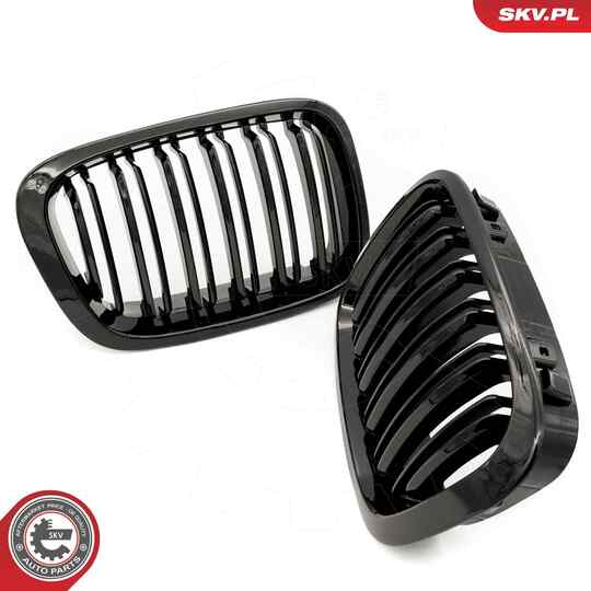 66SKV066 - Radiator Grille 