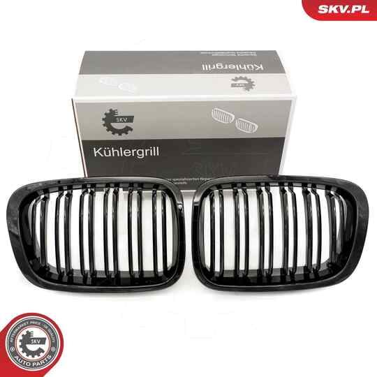 66SKV066 - Radiator Grille 