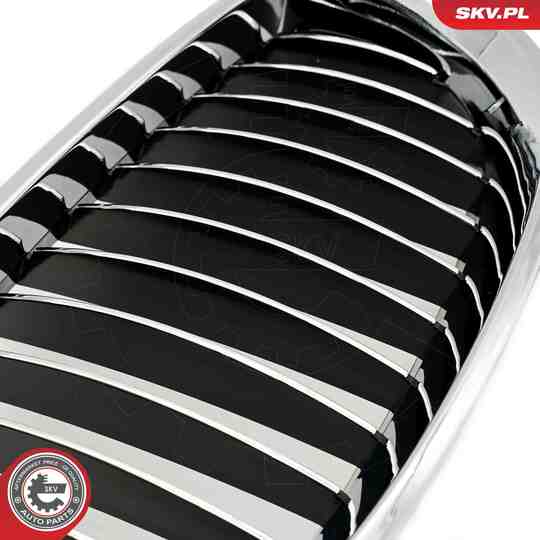 66SKV168 - Radiator Grille 