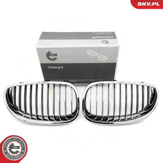 66SKV168 - Radiator Grille 