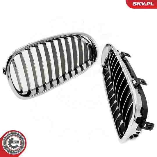 66SKV168 - Radiator Grille 