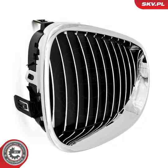 66SKV168 - Radiator Grille 