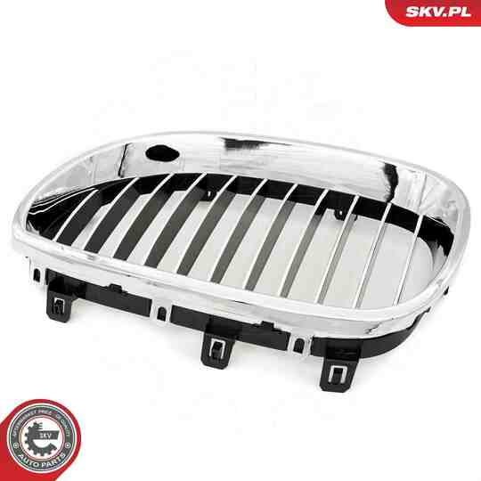 66SKV168 - Radiator Grille 