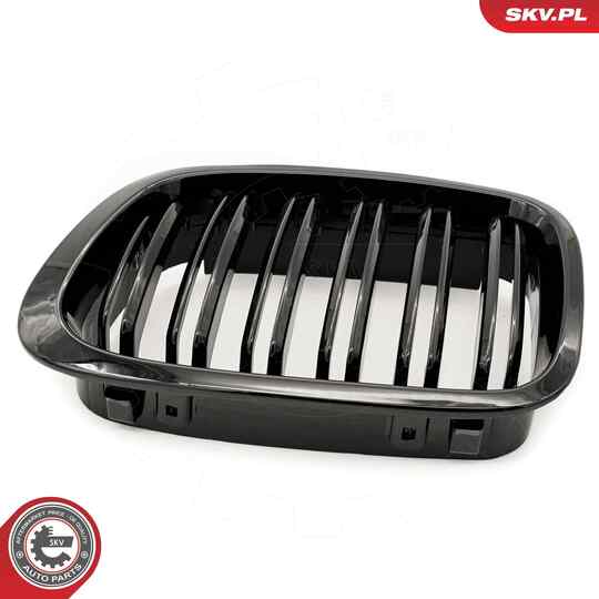 66SKV066 - Radiator Grille 