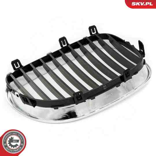 66SKV168 - Radiator Grille 