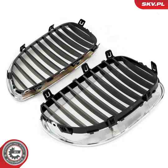 66SKV168 - Radiator Grille 