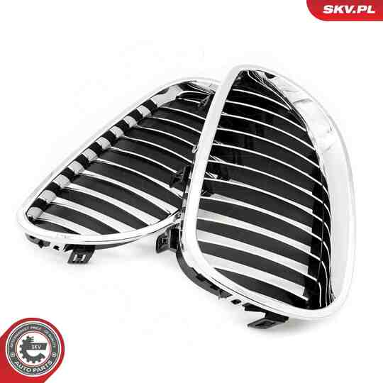 66SKV168 - Radiator Grille 