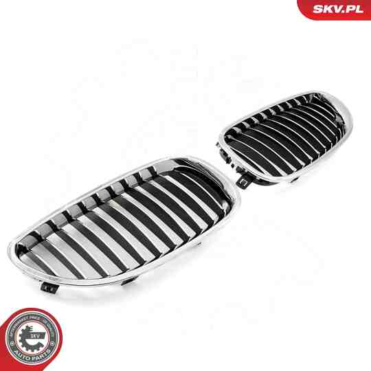 66SKV168 - Radiator Grille 