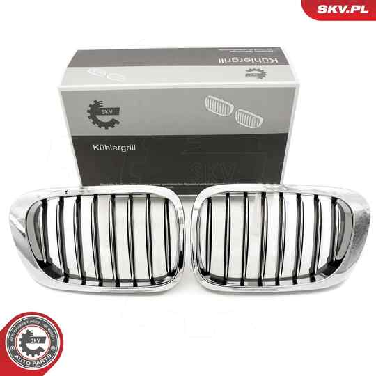 66SKV057 - Radiator Grille 