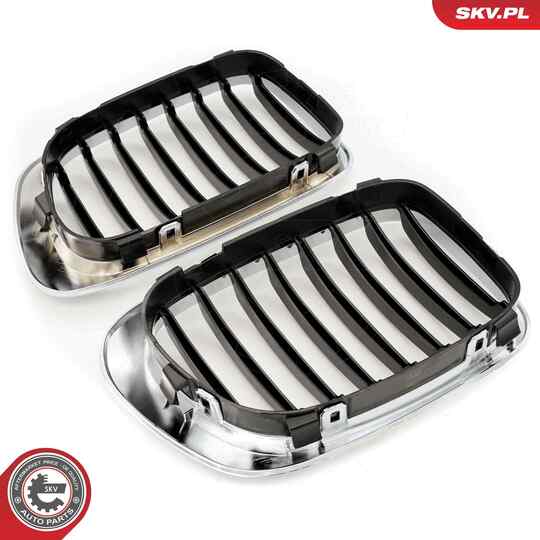 66SKV057 - Radiator Grille 