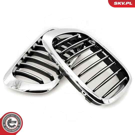 66SKV057 - Radiator Grille 