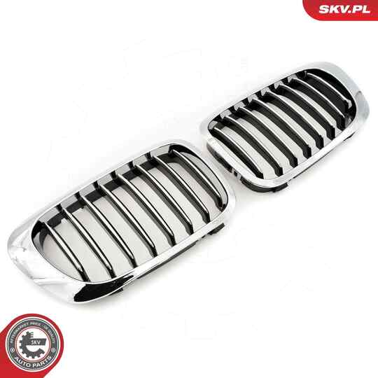 66SKV057 - Radiator Grille 