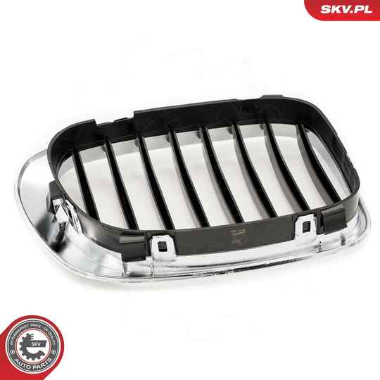 66SKV057 - Radiator Grille 