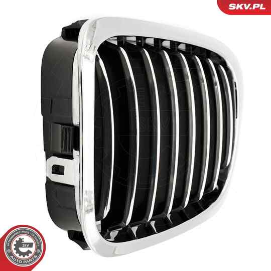 66SKV057 - Radiator Grille 