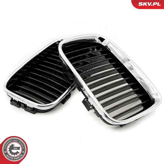 66SKV045 - Radiator Grille 