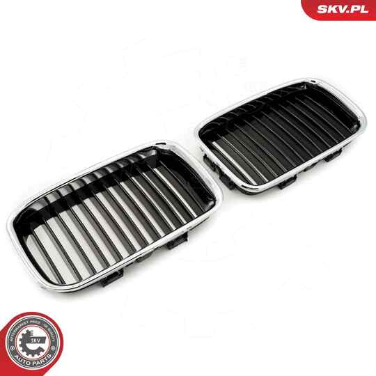 66SKV045 - Radiator Grille 