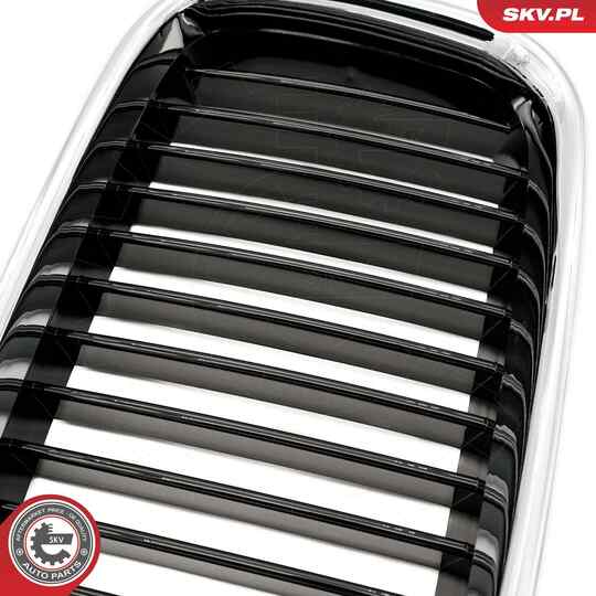 66SKV045 - Radiator Grille 