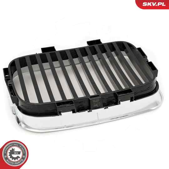 66SKV045 - Radiator Grille 