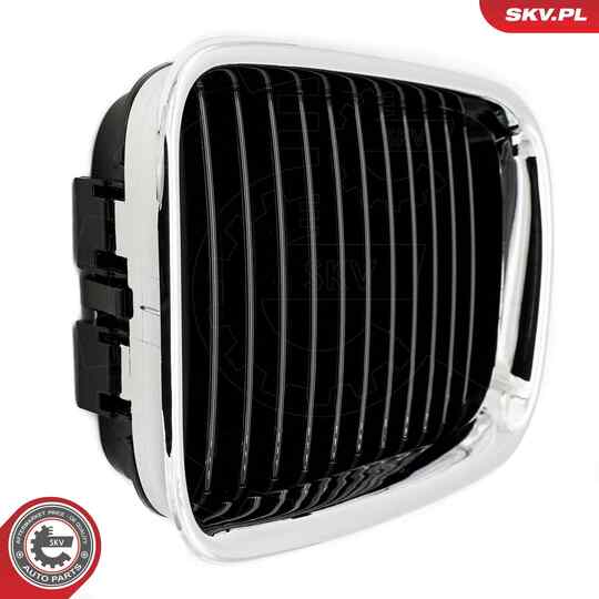 66SKV045 - Radiator Grille 