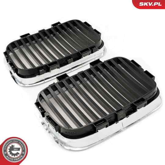 66SKV045 - Radiator Grille 