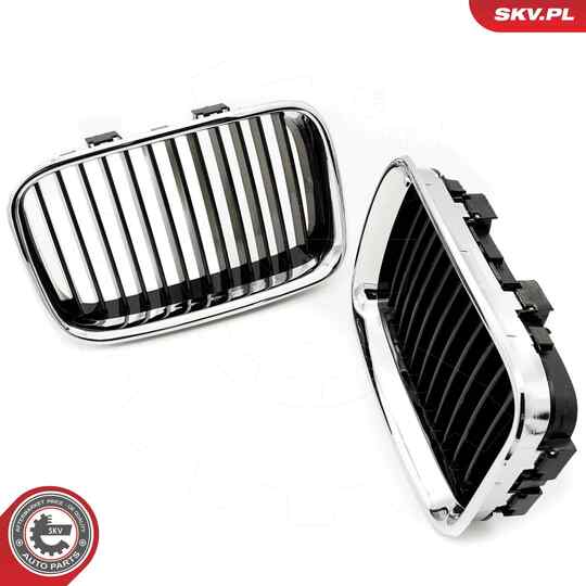 66SKV045 - Radiator Grille 