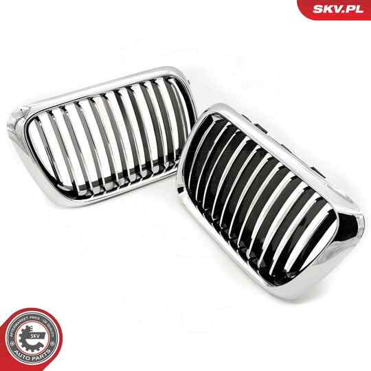 66SKV052 - Radiator Grille 