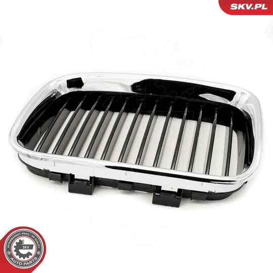 66SKV045 - Radiator Grille 