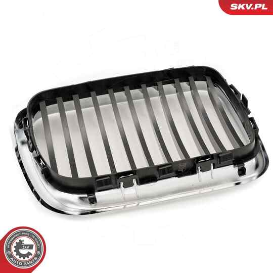 66SKV052 - Radiator Grille 