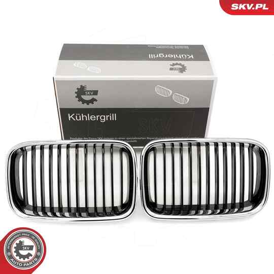 66SKV045 - Radiator Grille 