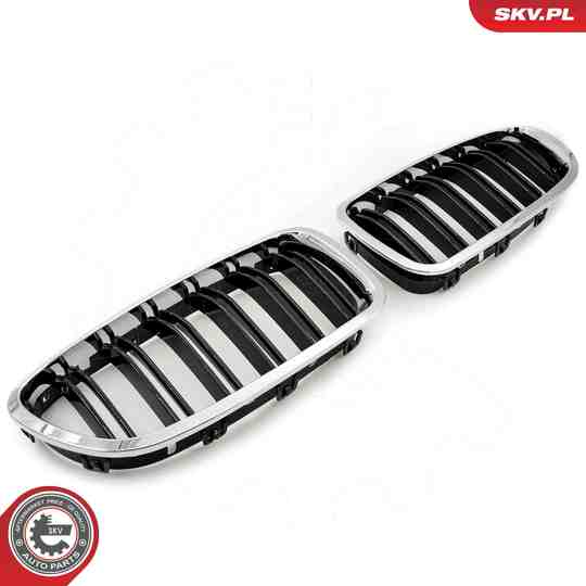 66SKV187 - Radiator Grille 