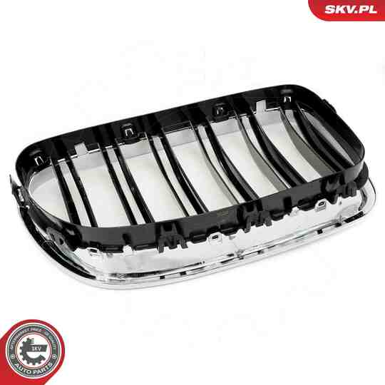 66SKV187 - Radiator Grille 