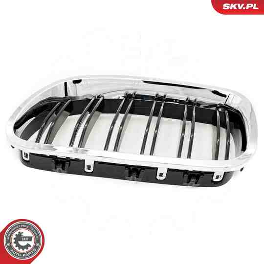 66SKV187 - Radiator Grille 